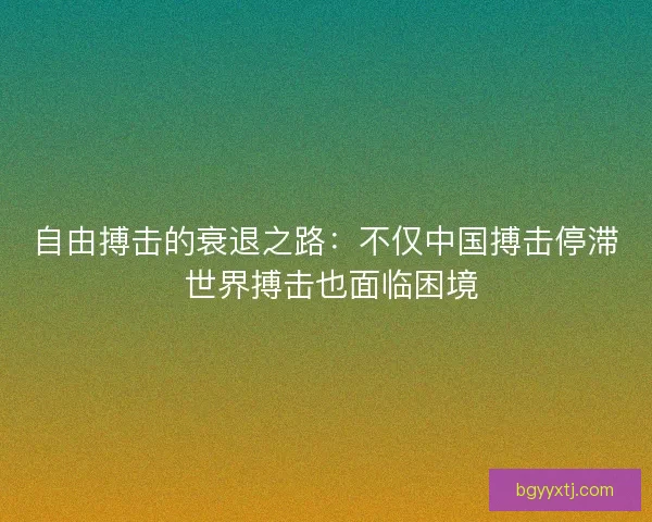 自由搏击的衰退之路：不仅中国搏击停滞 世界搏击也面临困境