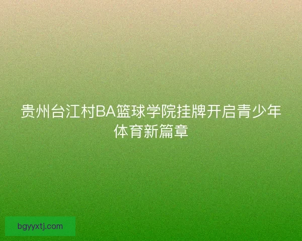 贵州台江村BA篮球学院挂牌开启青少年体育新篇章