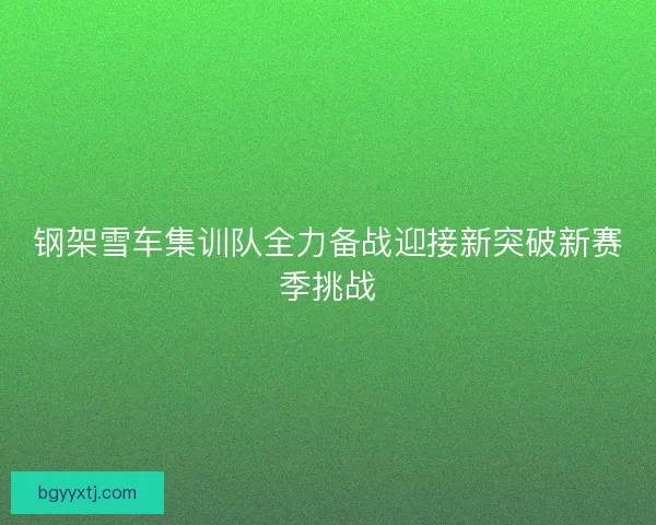 钢架雪车集训队全力备战迎接新突破新赛季挑战